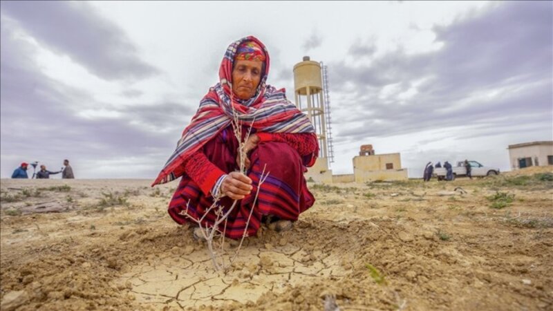  شبح الجفاف يخيّم على تونس...؟!